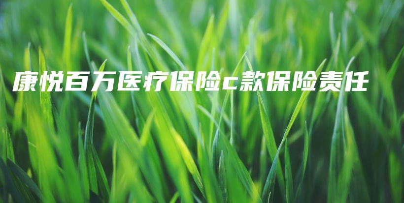 康悦百万医疗保险c款保险责任-保点通