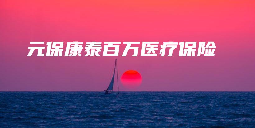元保康泰百万医疗保险-保点通