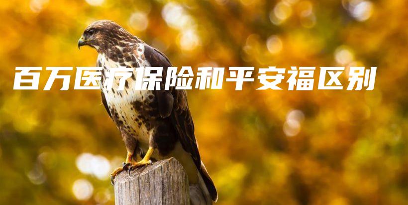 百万医疗保险和平安福区别-保点通