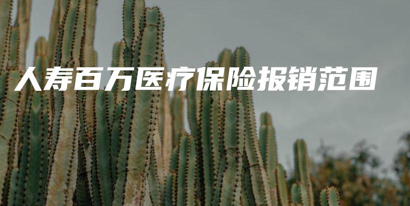 人寿百万医疗保险报销范围-保点通