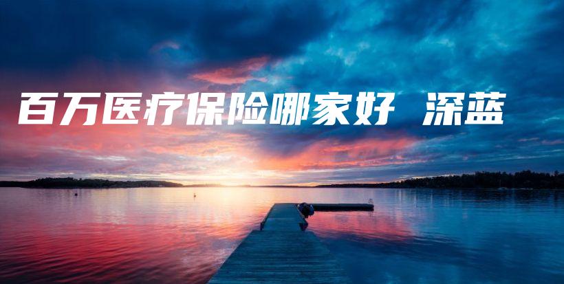 百万医疗保险哪家好 深蓝-保点通