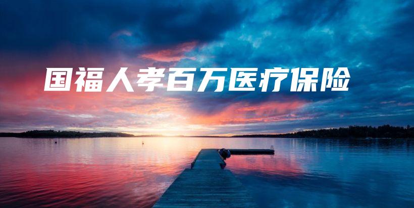 国福人孝百万医疗保险-保点通