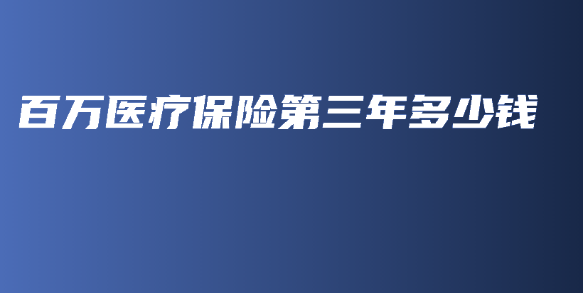 百万医疗保险第三年多少钱-保点通
