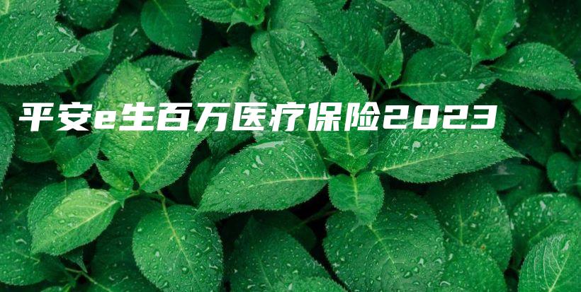 平安e生百万医疗保险2023-保点通