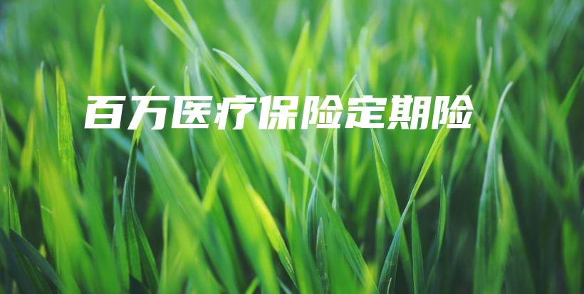 百万医疗保险定期险-保点通