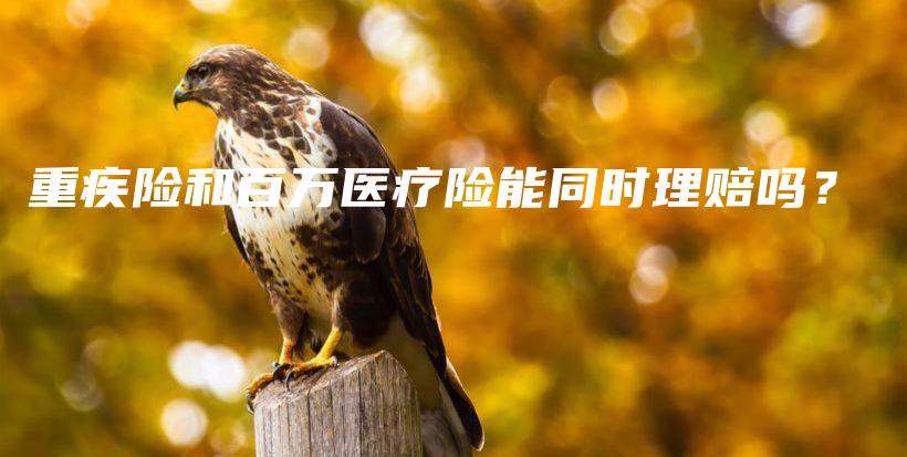 重疾险和百万医疗险能同时理赔吗？-保点通