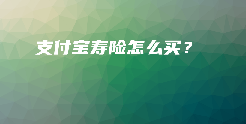 支付宝寿险怎么买？-保点通