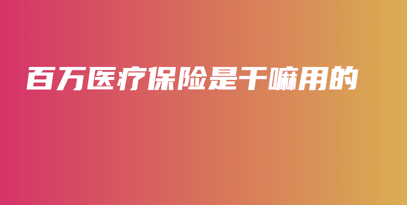 百万医疗保险是干嘛用的-保点通