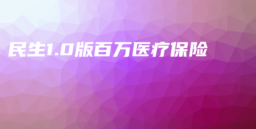 民生1.0版百万医疗保险-保点通