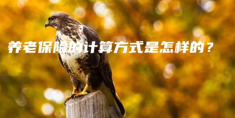 养老保险的计算方式是怎样的？-保点通