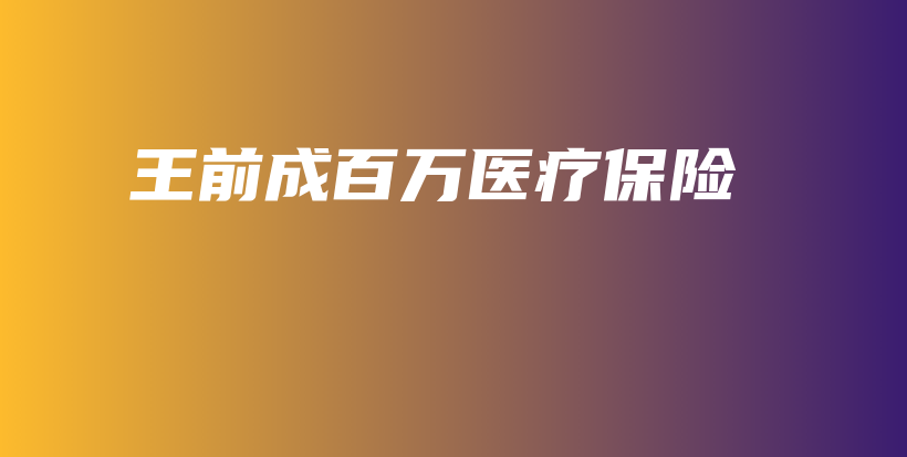 王前成百万医疗保险-保点通