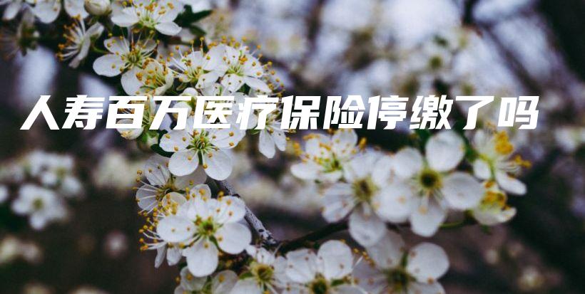 人寿百万医疗保险停缴了吗-保点通