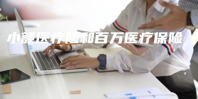 小额医疗险和百万医疗保险-保点通