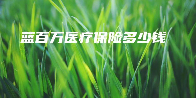 蓝百万医疗保险多少钱-保点通