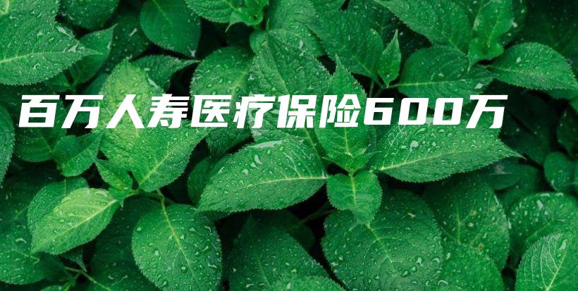 百万人寿医疗保险600万-保点通