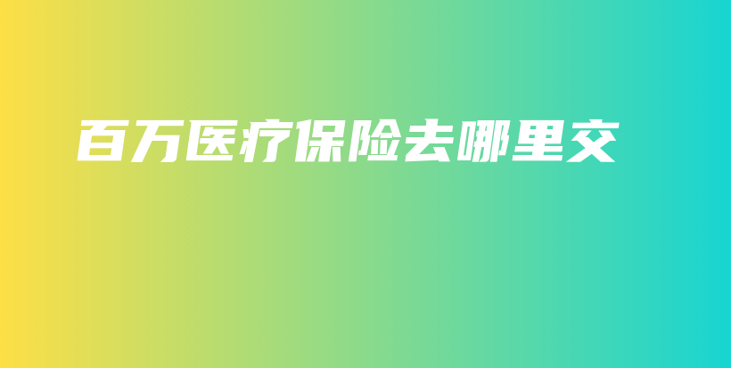 百万医疗保险去哪里交-保点通