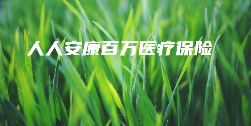 人人安康百万医疗保险-保点通
