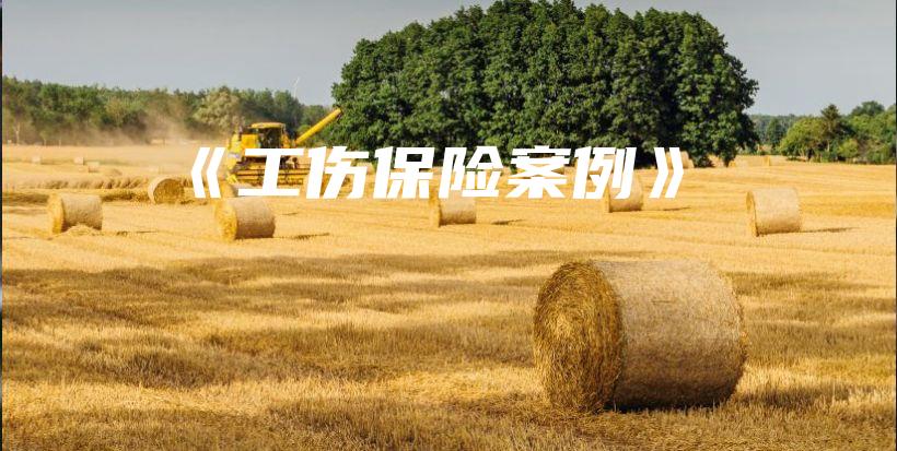 《工伤保险案例》-保点通