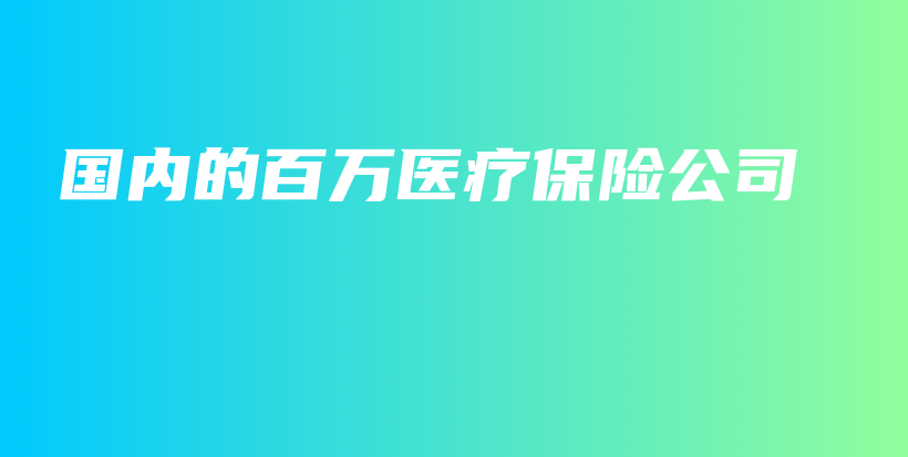 国内的百万医疗保险公司-保点通