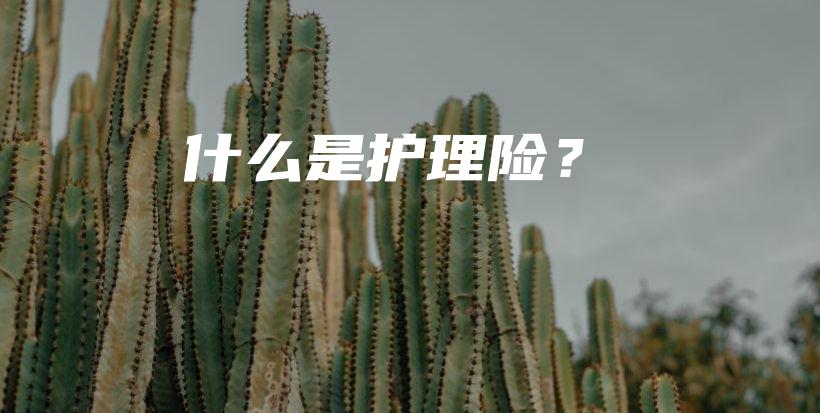 什么是护理险？-保点通