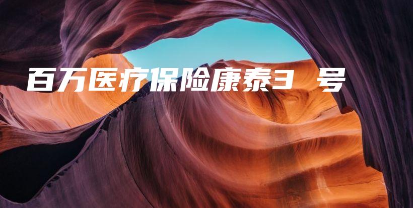 百万医疗保险康泰3 号-保点通
