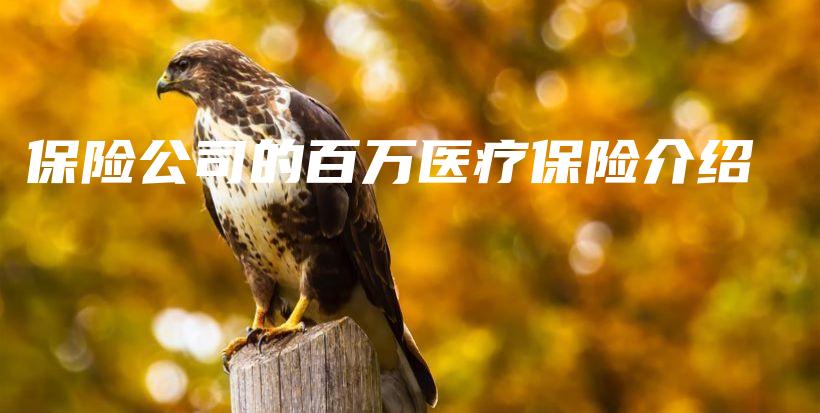 保险公司的百万医疗保险介绍-保点通