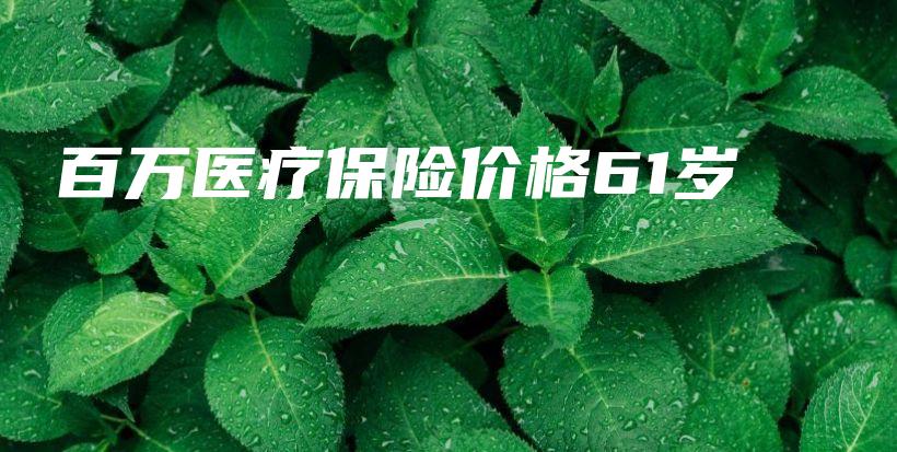 百万医疗保险价格61岁-保点通