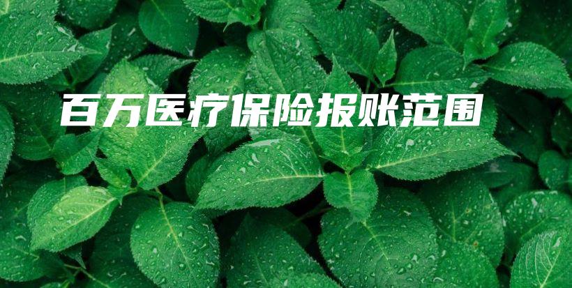 百万医疗保险报账范围-保点通