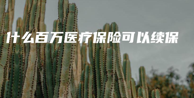 什么百万医疗保险可以续保-保点通