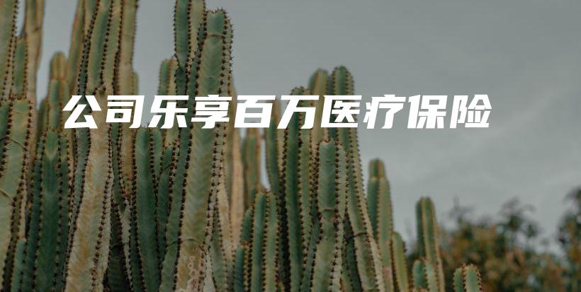 公司乐享百万医疗保险-保点通