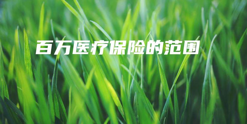 百万医疗保险的范围-保点通