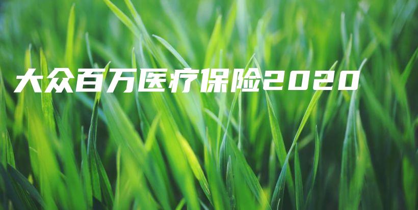 大众百万医疗保险2020-保点通