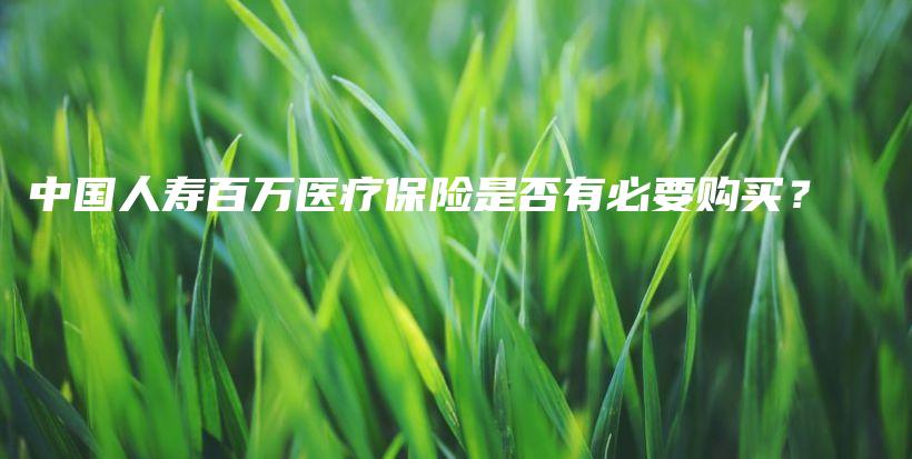中国人寿百万医疗保险是否有必要购买？-保点通