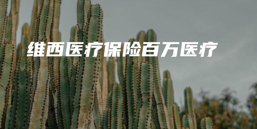 维西医疗保险百万医疗-保点通