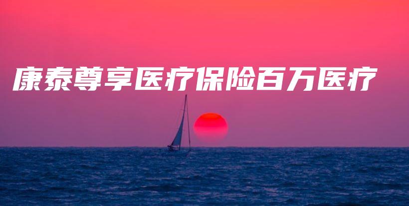 康泰尊享医疗保险百万医疗-保点通