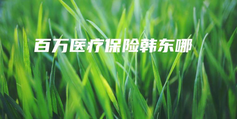 百万医疗保险韩东哪-保点通