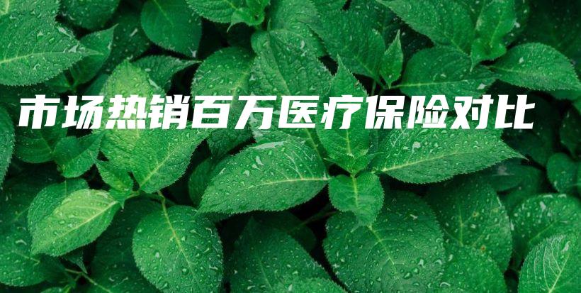 市场热销百万医疗保险对比-保点通