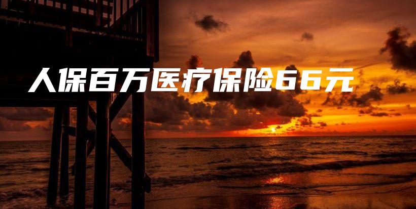 人保百万医疗保险66元-保点通