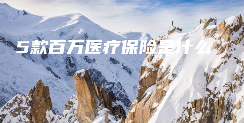 5款百万医疗保险是什么-保点通
