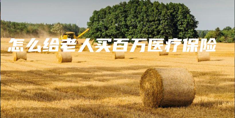 怎么给老人买百万医疗保险-保点通