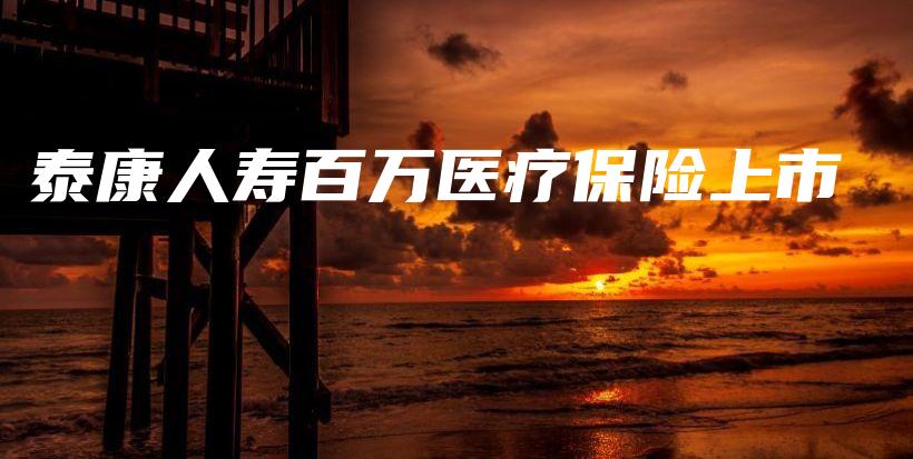 泰康人寿百万医疗保险上市-保点通