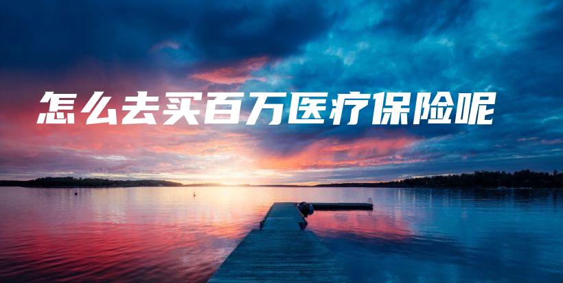 怎么去买百万医疗保险呢-保点通