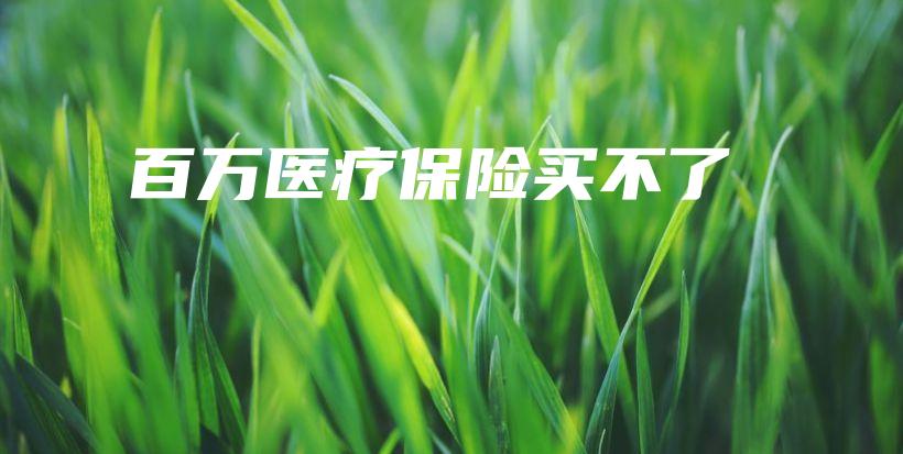 百万医疗保险买不了-保点通