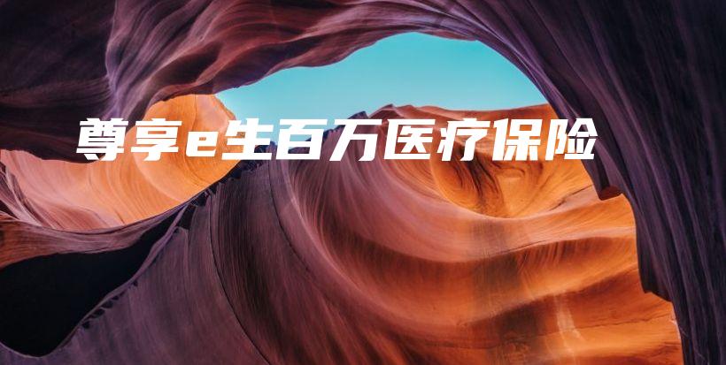 尊享e生百万医疗保险-保点通