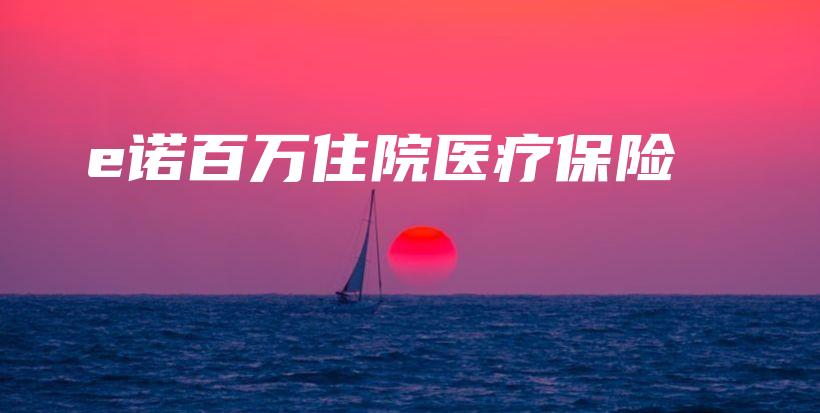 e诺百万住院医疗保险-保点通