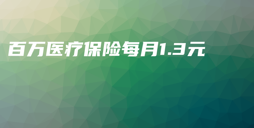 百万医疗保险每月1.3元-保点通