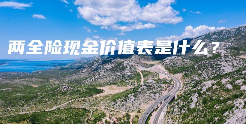 两全险现金价值表是什么？-保点通