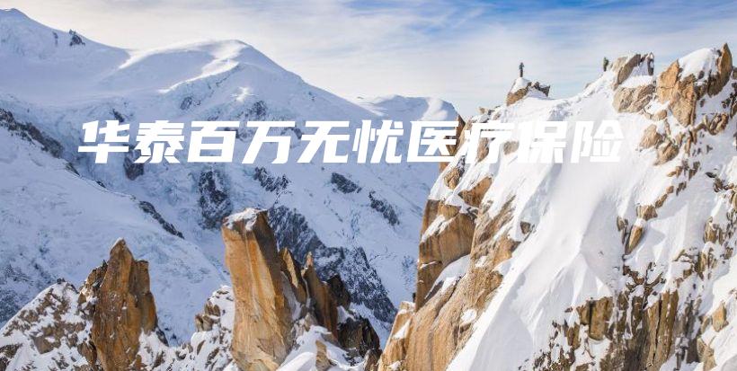 华泰百万无忧医疗保险-保点通