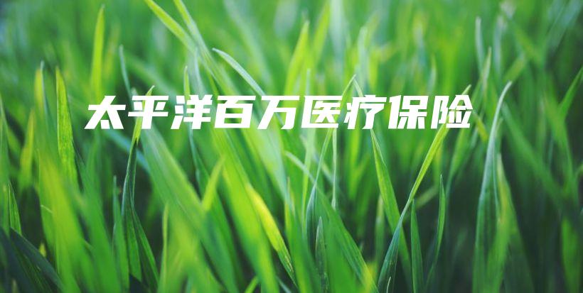 太平洋百万医疗保险-保点通