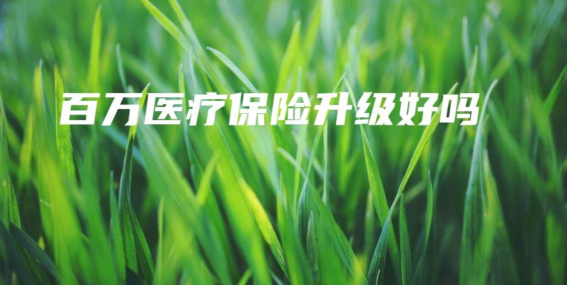 百万医疗保险升级好吗插图 百万医疗保险升级好吗插图